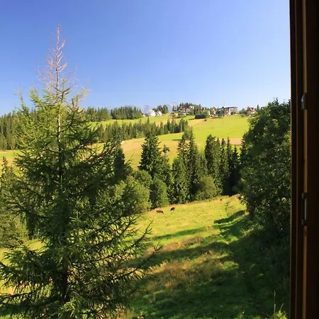 Bukowina Centrum Homestay Bukowina Tatrzanska
